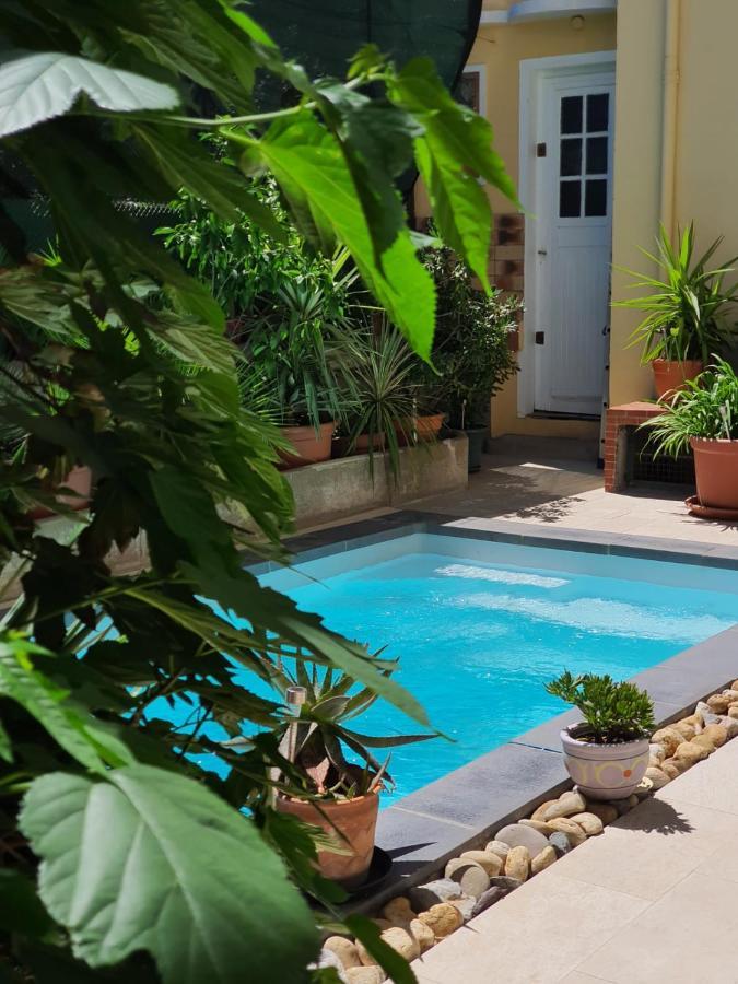 B&B Le Patio En Ville - Chambres D'Hotes Narbonne Exteriör bild